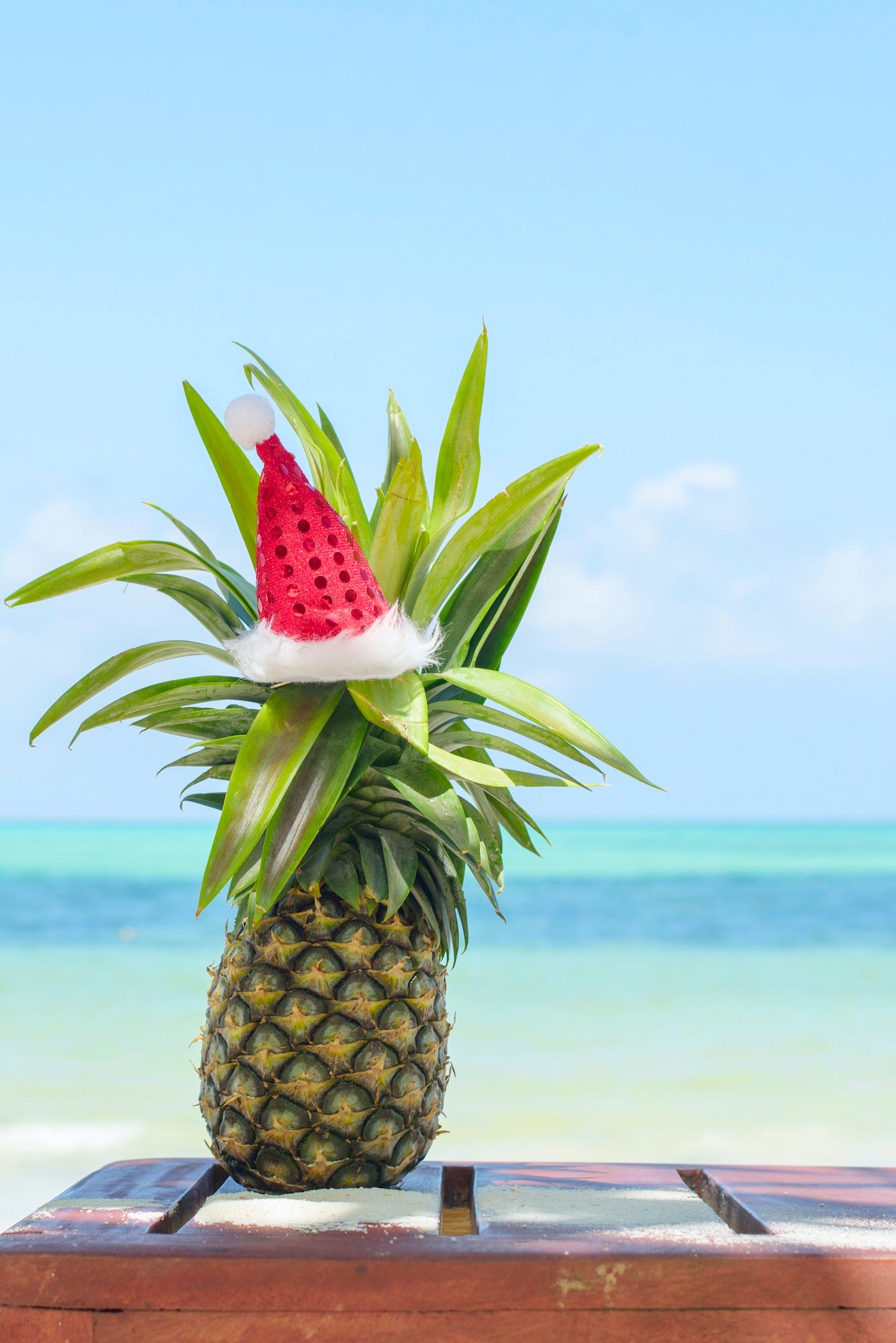 Pineapple in Zanzibar, Tanzania, East African Destinations - African Adventure Hotspots