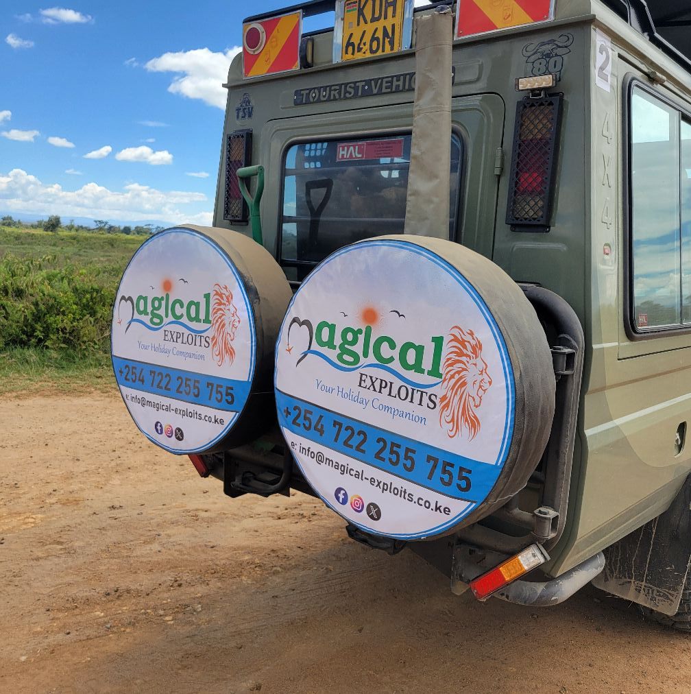 Safari Land Cruiser in Masai Mara Kenya