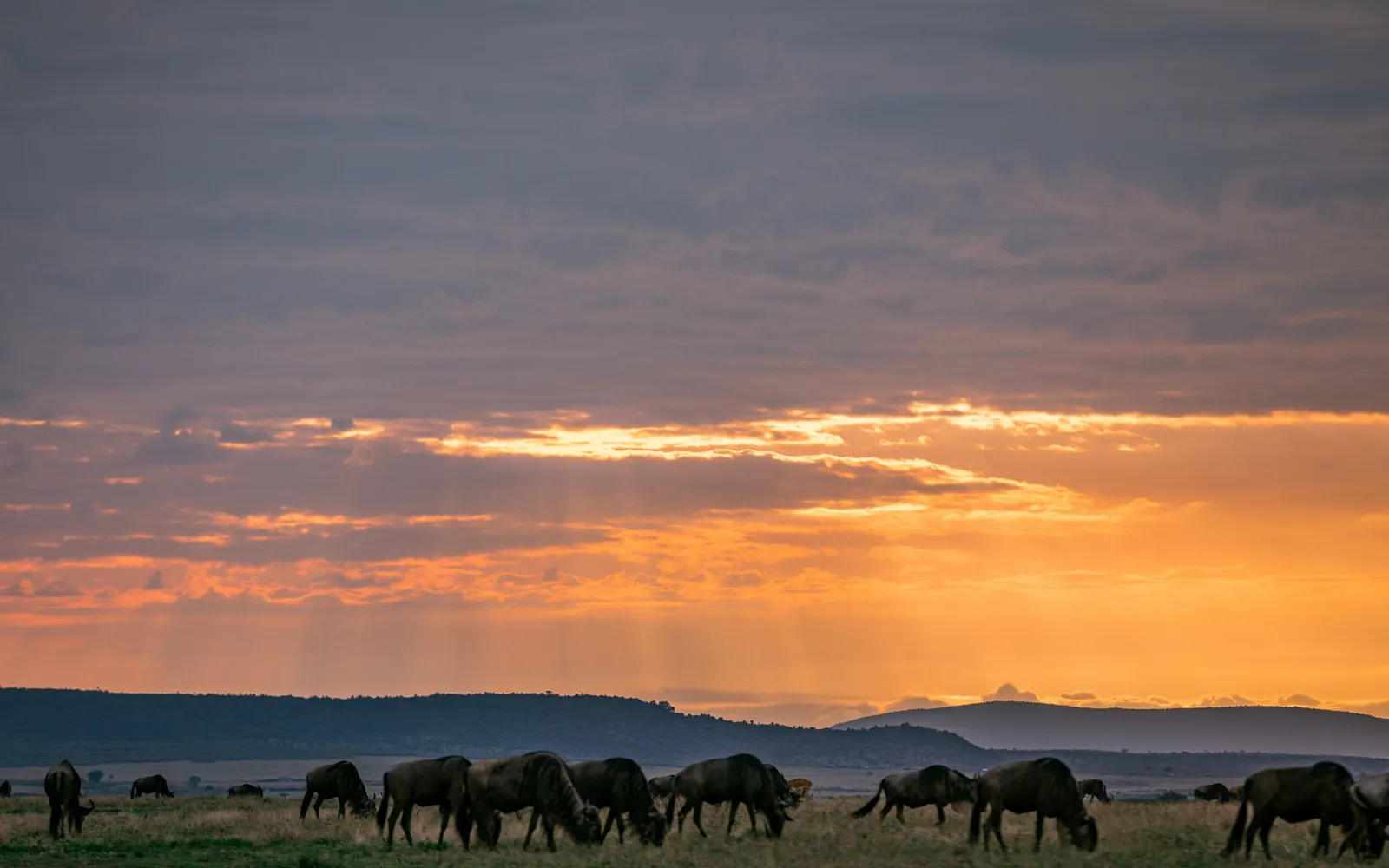Sunset light above a broad Kenyan landscape.