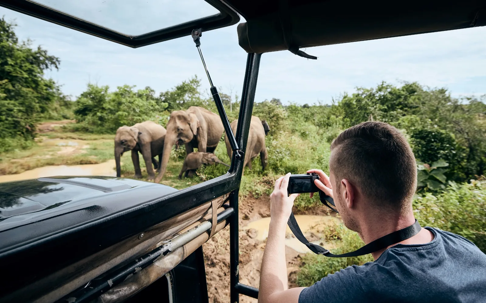 A traveller photographing elephants from a safari vehicle.