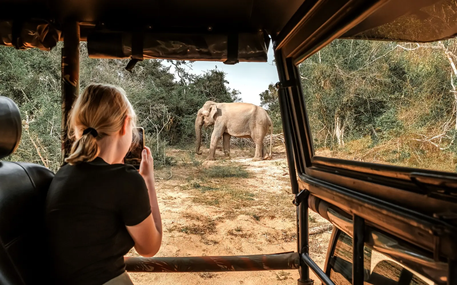 A traveller photographing elephants from inside a safari vehicle.