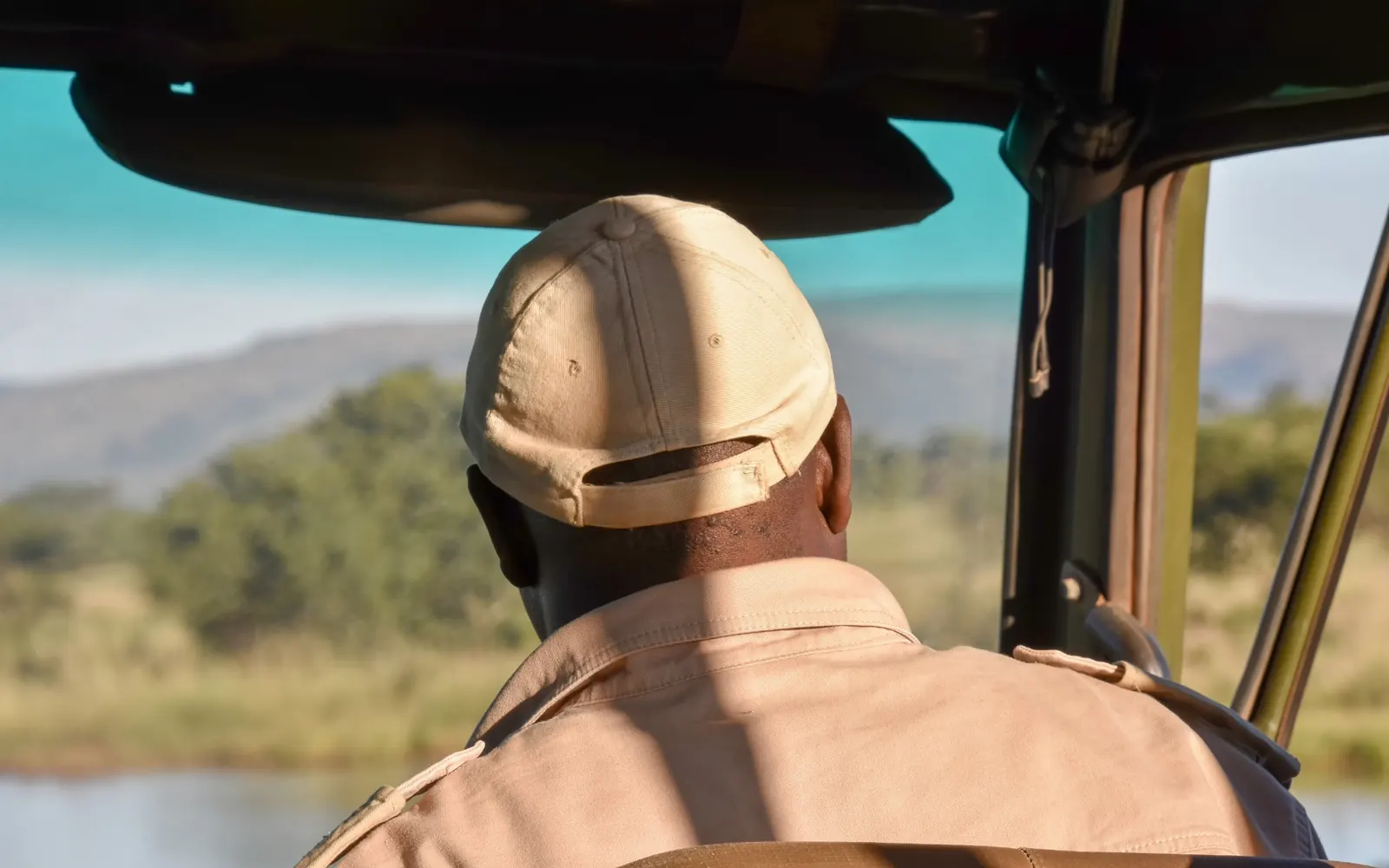 A traveller looking ahead from a safari vehicle.